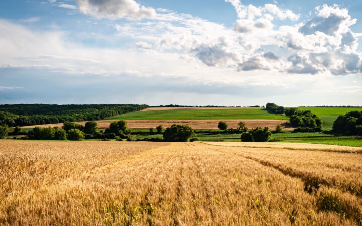 Funding for Farmers in South Africa 2026: Grants, Loans & Land Reform