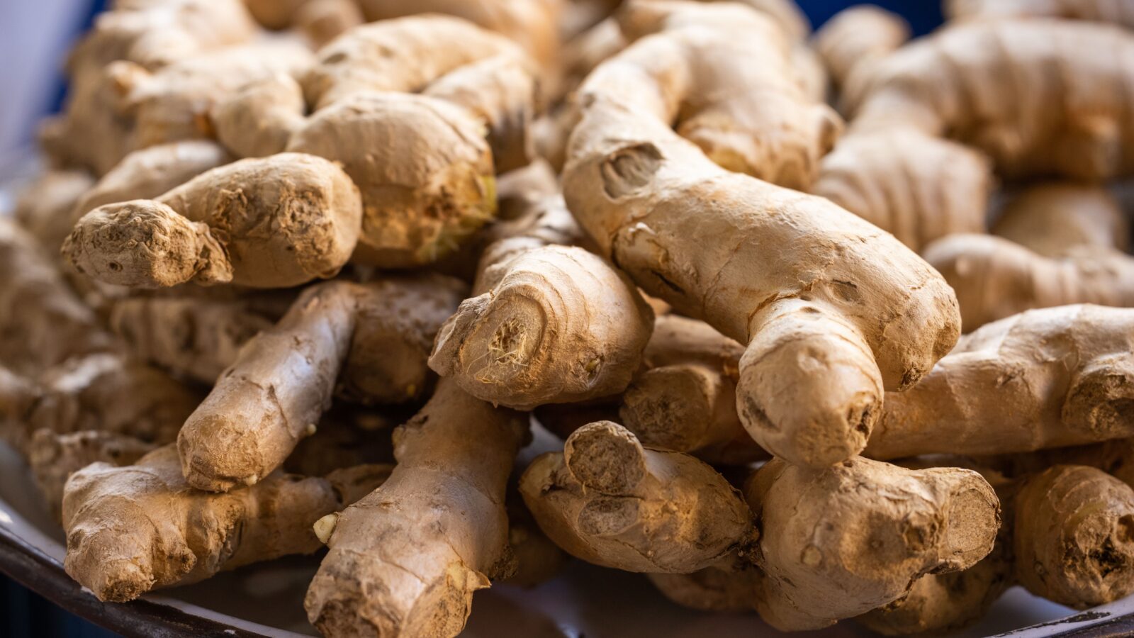 Ginger Farming Business Plan South Africa