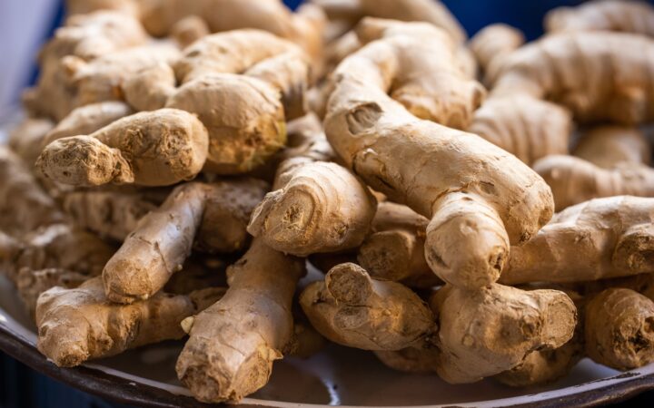 Ginger Farming Business Plan South Africa