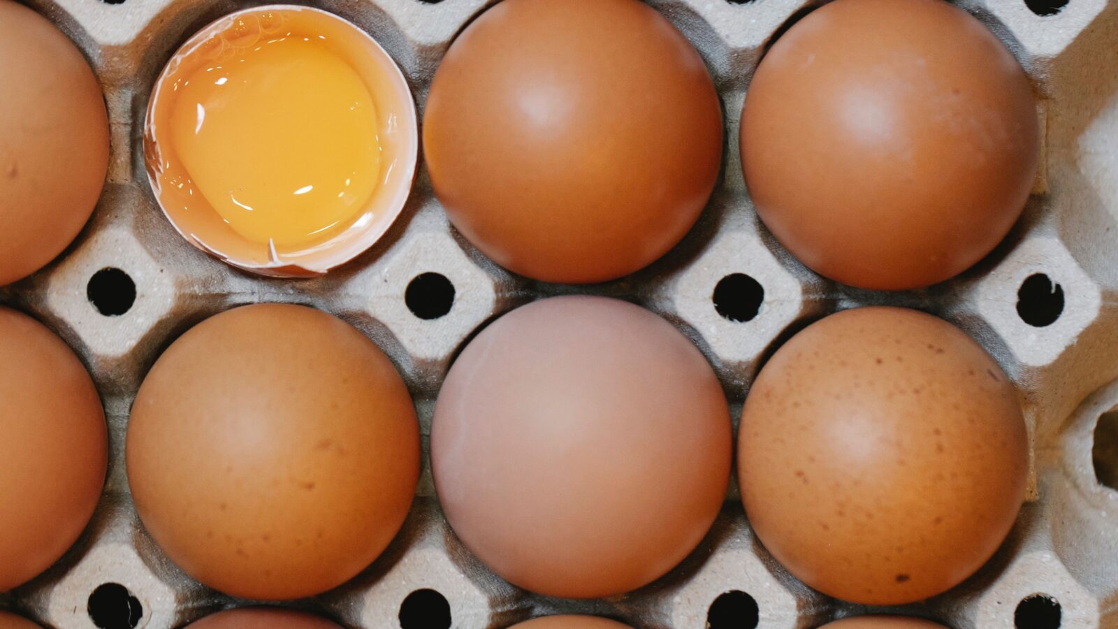 Layers Egg Production Business Plan