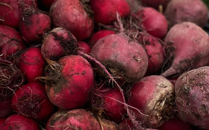 Beetroot Farming Business Plan South Africa