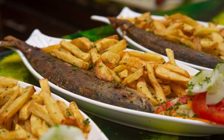 Fish and Chips Business Plan South Africa